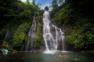 Banyumala Twin Waterfall - Lovina Dream Trip