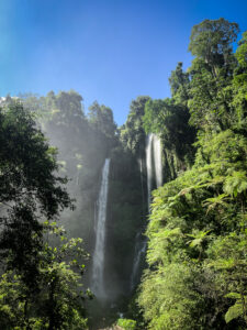 Sekumpul Waterfall - Lovina Dream Trip